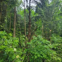 20250528_175013.jpg